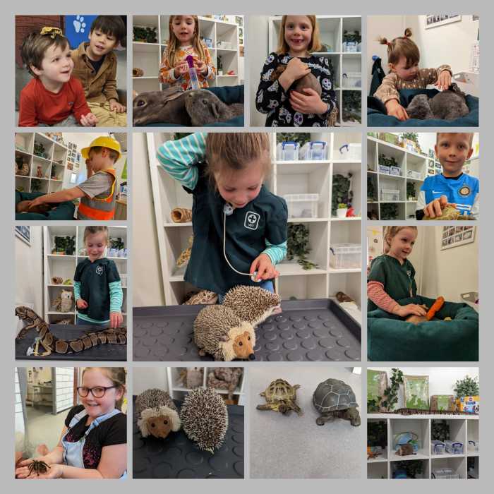 A very busy day at the vets - (Animal handling) Thursday 31st July 1.30pm - 3pm