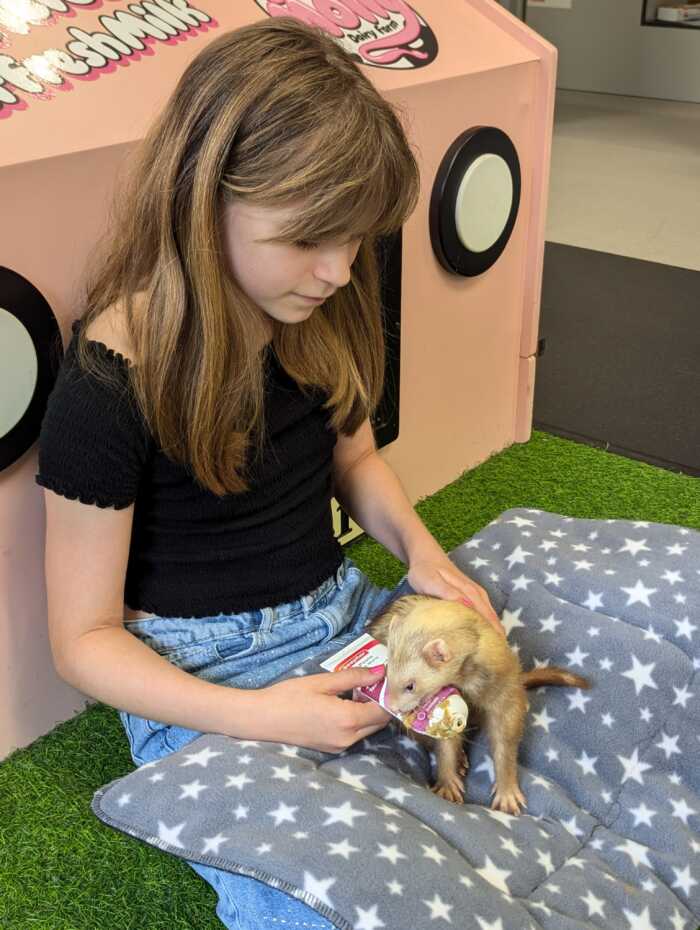 A very busy day at the vets - (Animal handling) Thursday 31st July 1.30pm - 3pm - Image 9