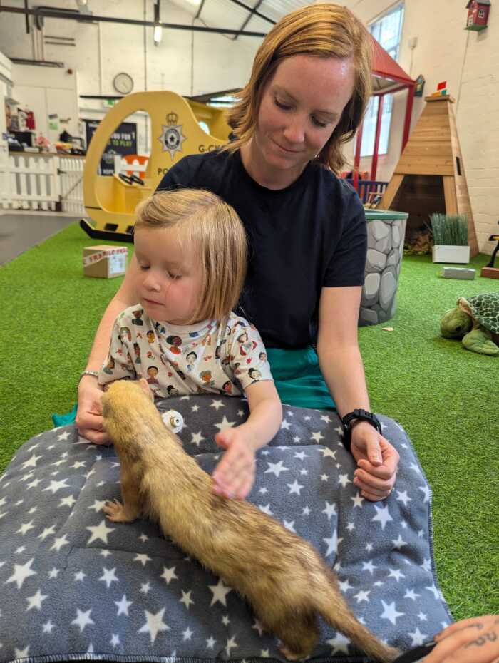 A very busy day at the vets - (Animal handling) Thursday 31st July 1.30pm - 3pm - Image 10